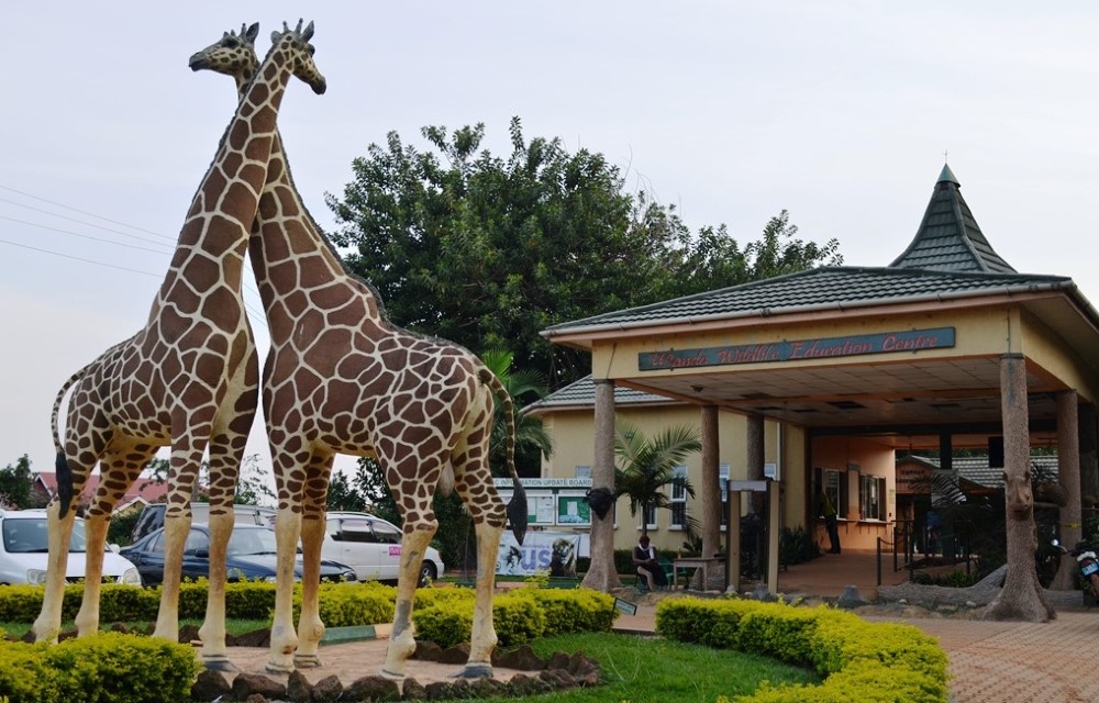 Umva Entebbe Attraction Pictures